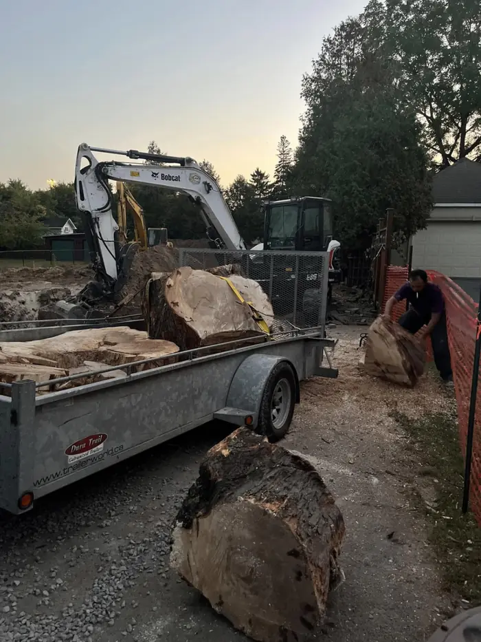 Loaded trailer and excavator clearing large tree sections in Hamilton, ON