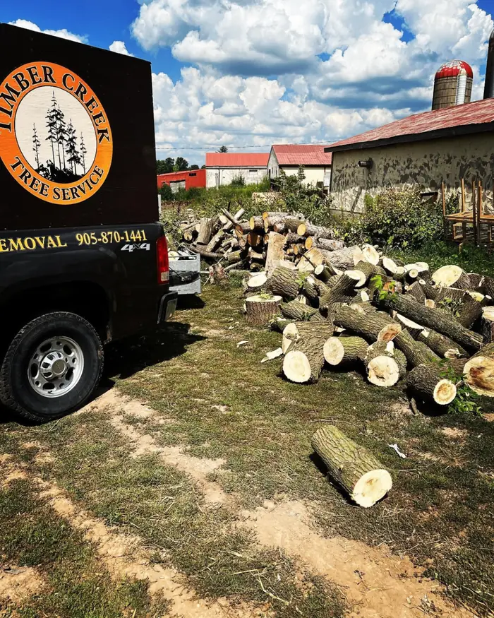 Timber Creek truck parked beside freshly cut logs after a tree removal job