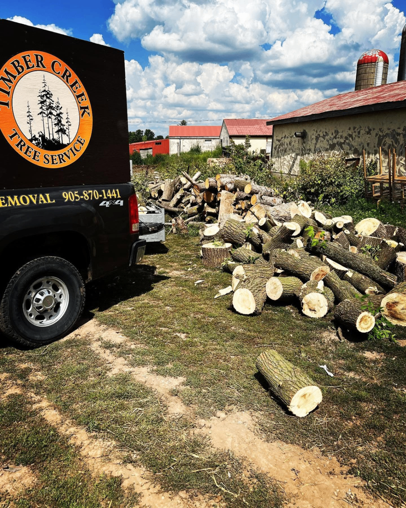 Timber Creek truck parked beside freshly cut logs after a tree removal job