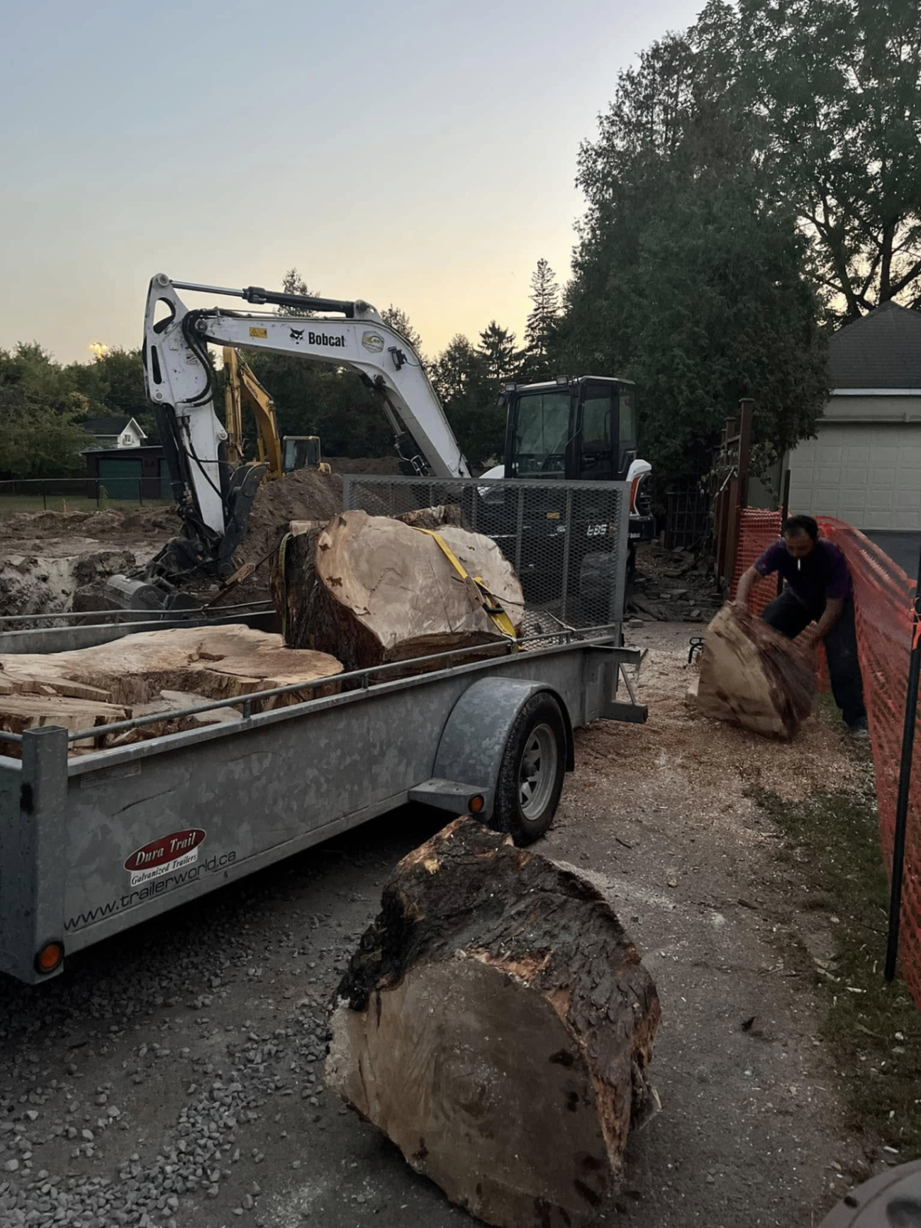 Loaded trailer and excavation equipment clearing large tree sections