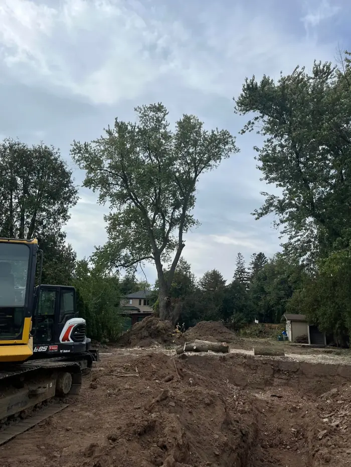 Large tree removal project with excavation equipment on site in Hamilton, ON