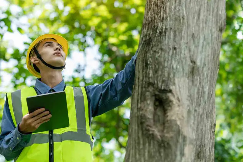 Tree Health Evaluation