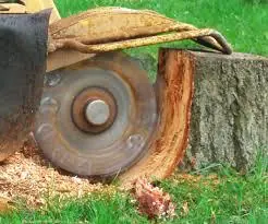 Stump Grinding